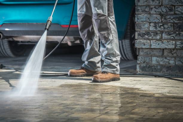 Best Winterizing Services  in La Feria, TX