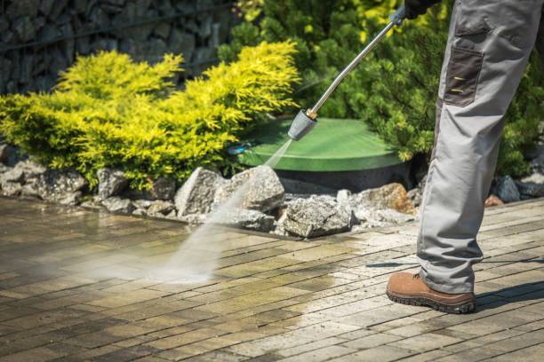 Best Boat and Dock Cleaning  in La Feria, TX