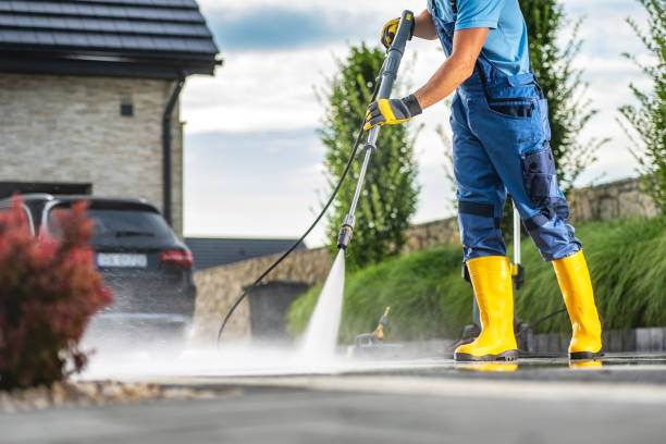 Best Driveway Pressure Washing  in La Feria, TX